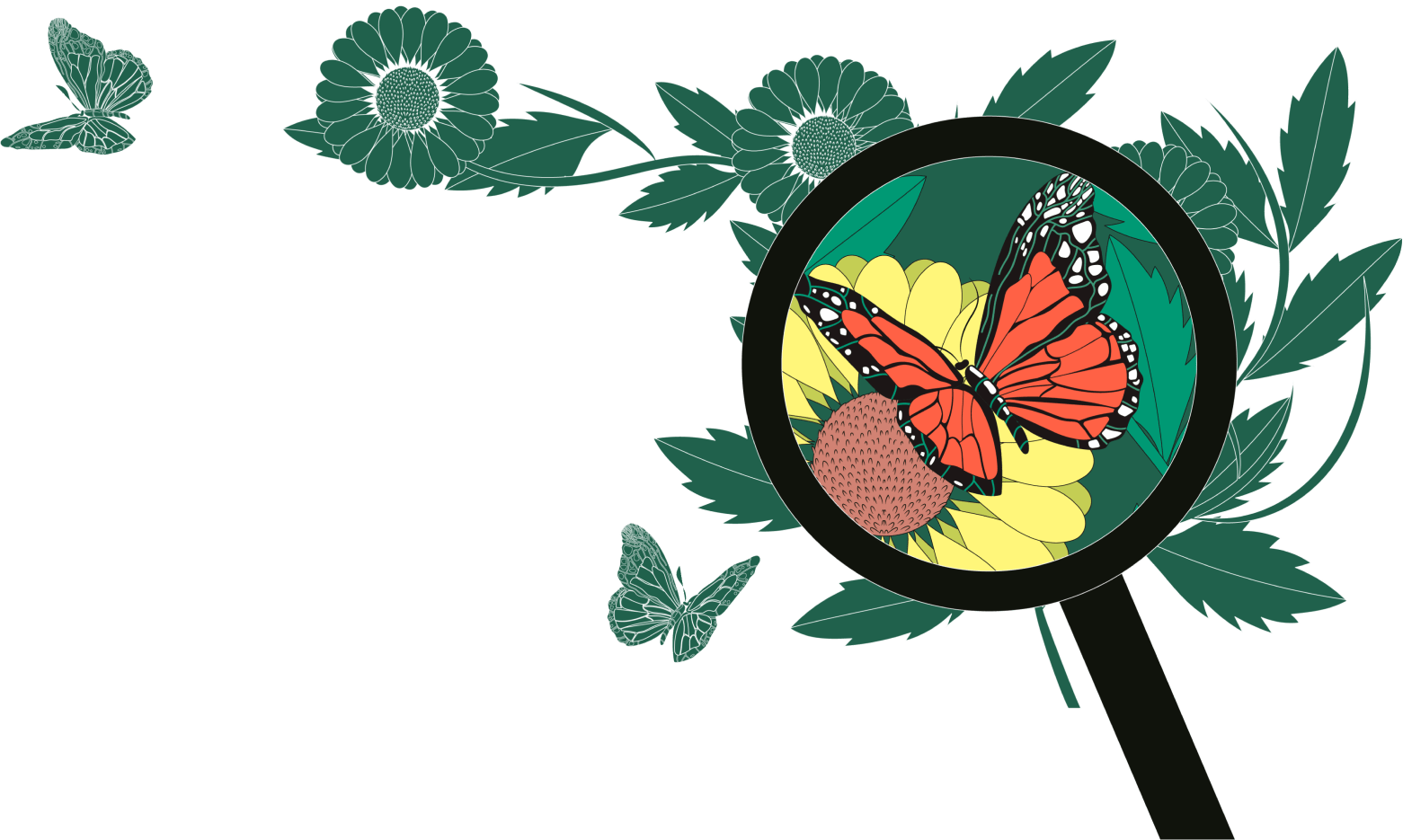 Deep understanding visualization