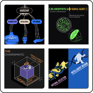 2x2 grid of book images